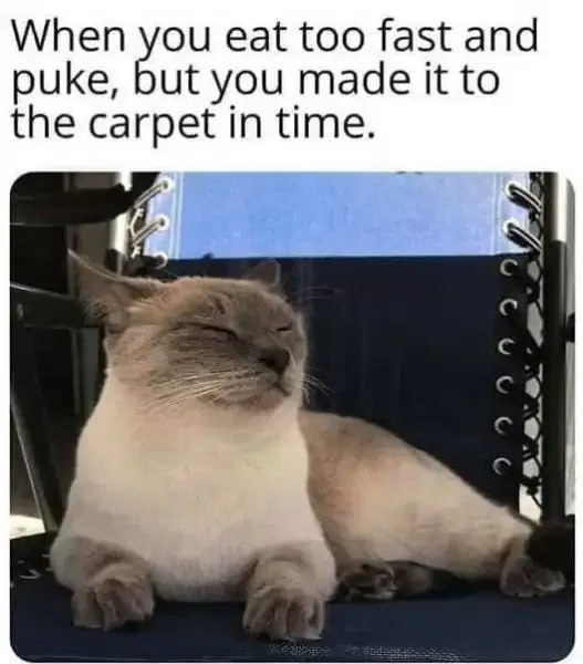 Eat fast - puke on carpet