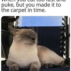 Eat fast - puke on carpet