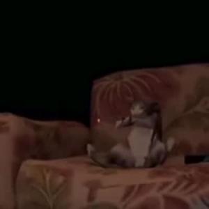 Friday night as a crypto investor