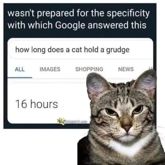 Cat grudge duration