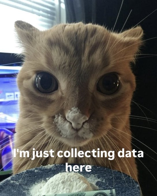 I'm just collecting data