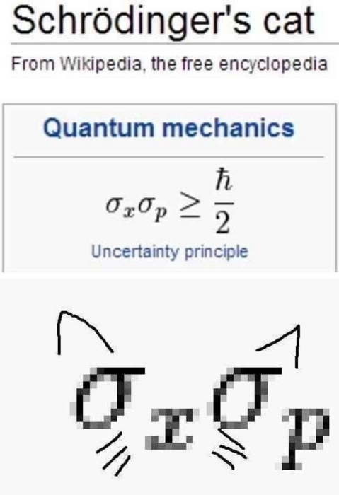 Quantum cat math