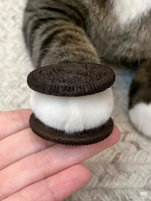 Hmmm