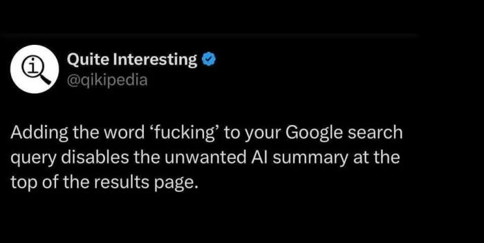 Disable search engine AI summary