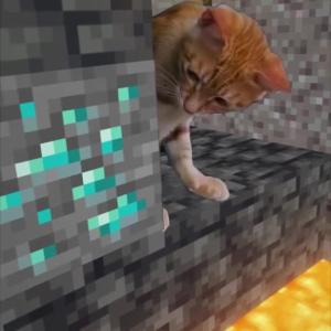 Cat in minecraft