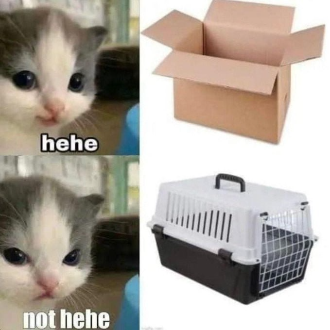 box hehe, cage not hehe