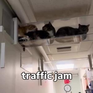 Traffic jam