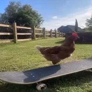 Sk8r chick
