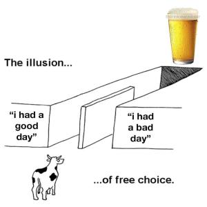 To beer or not to beer