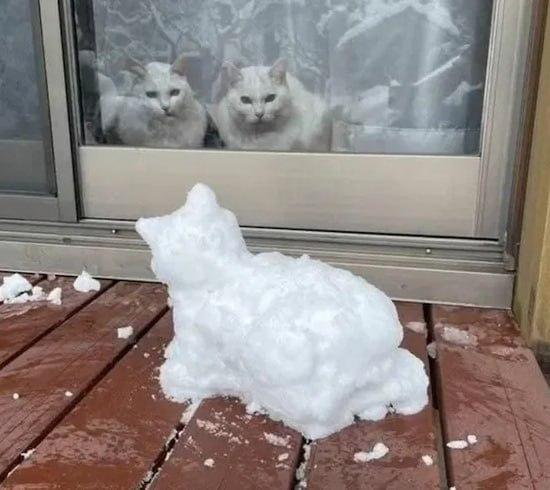 When the cats are colder than ice